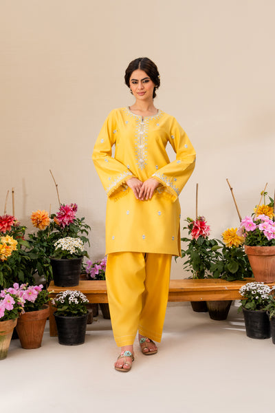 2 Piece - Embroidered Lawn Suit - Chambeli